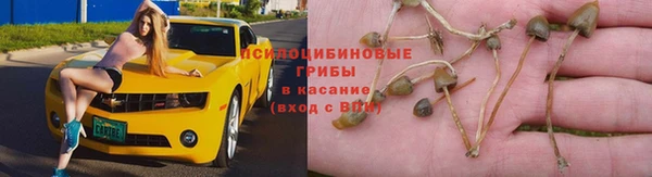 синтетический гашиш Алексин