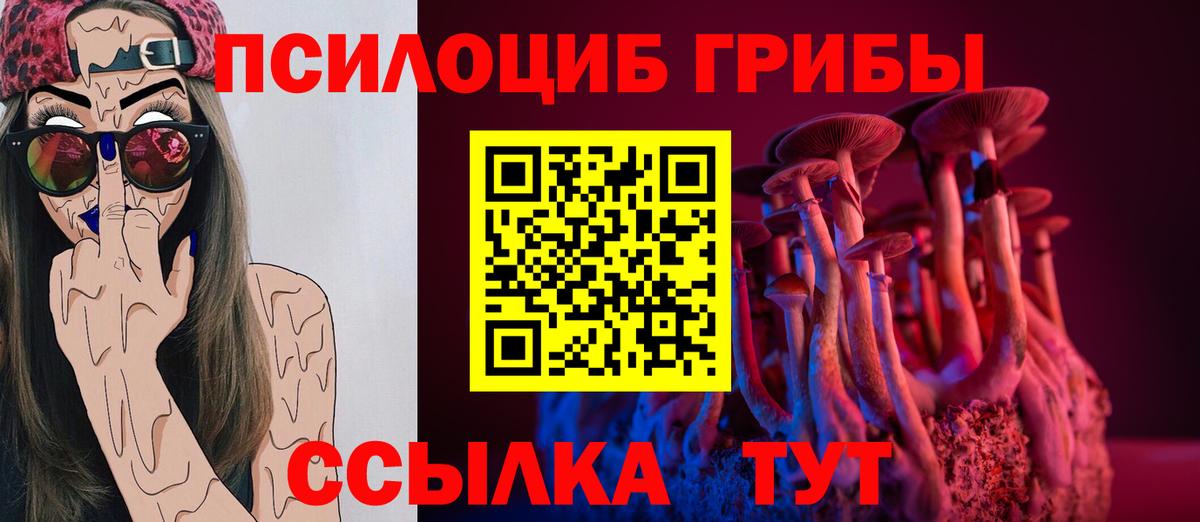 Березники  продажа наркотиков  Вход с VPN  Галлюциногенные грибы Psilocybine cubensis 